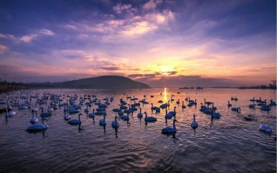 “文旅融合發展 樂享好客山東” 首屆中國國際文化旅游博覽會在山東舉辦